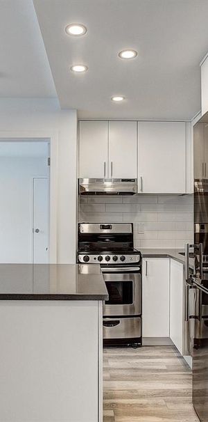 1 Bedroom - 4530 Avenue Coloniale, Montréal - Photo 1