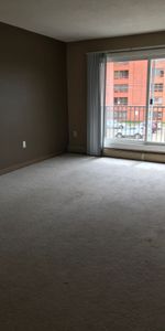 Apartment in Downtown, Close to All Amenties and Pet Friendly - Photo 4