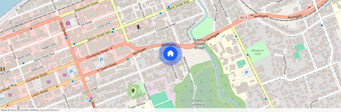 165 Lemon Street, Strandon, New Plymouth