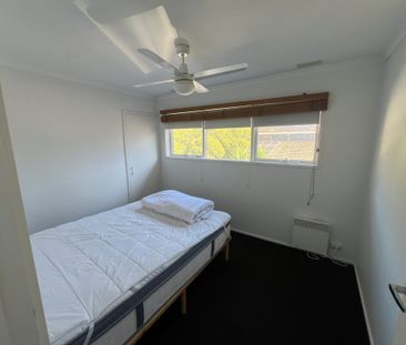 Elwood - Photo 6