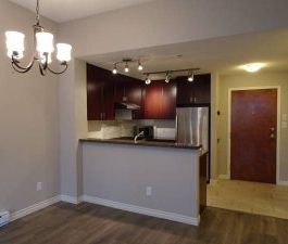$1950 / 2br – 854ft2 – Top Floor 2 bedroom 2 full bath condo in Sou... - Photo 5