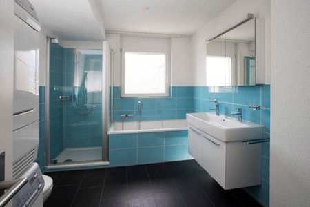 In der Abendsonne - Foto 2