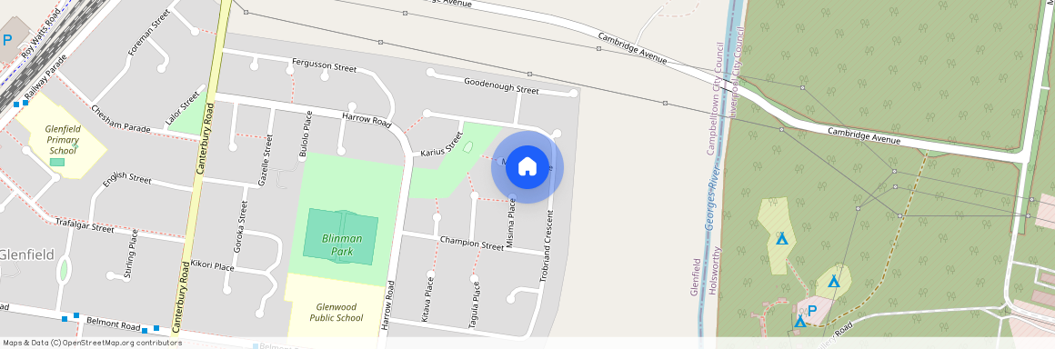 6 Manam Place, NSW 2167, Glenfield