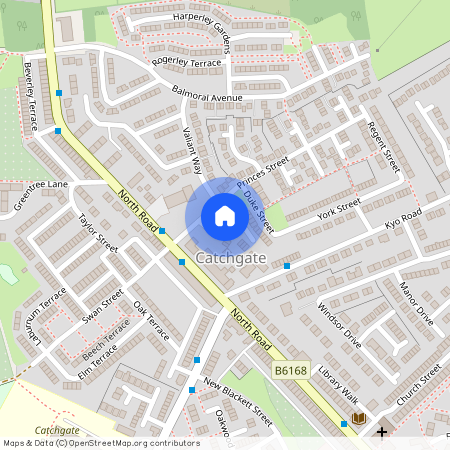 The Ridings, Catchgate, Stanley