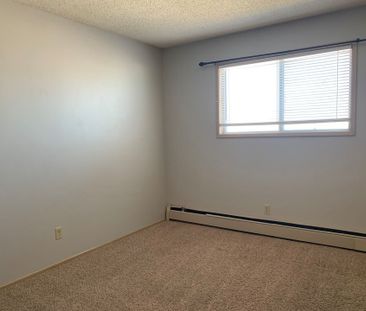 302 4313 55 Street - Photo 4