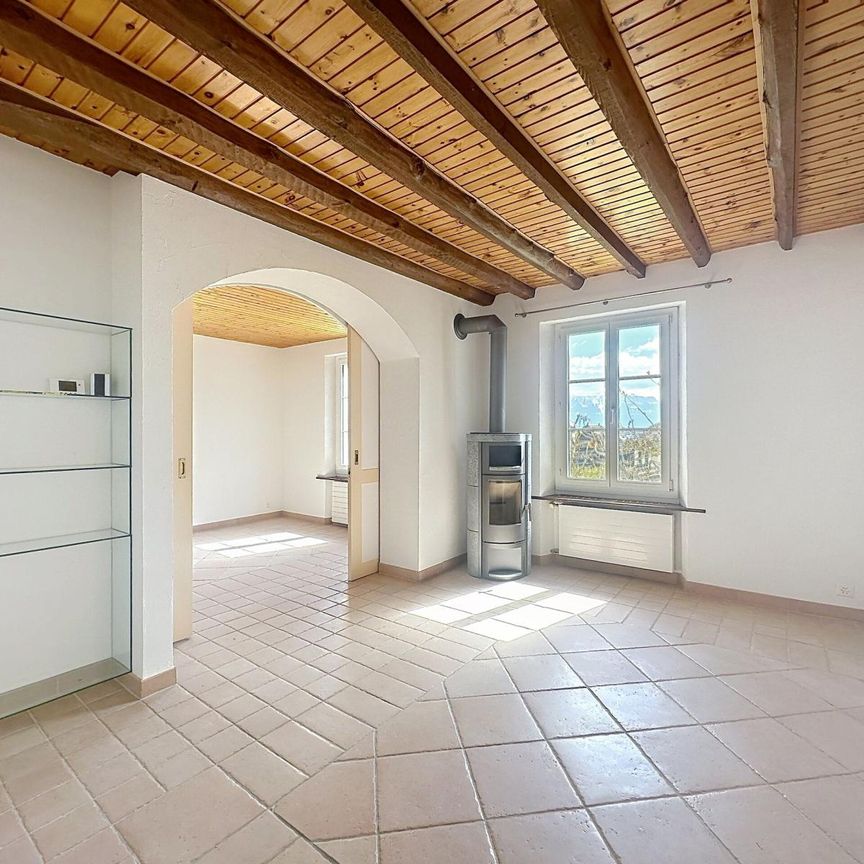 Bel appartement avec jardin et vue lac à Lausanne - Photo 1