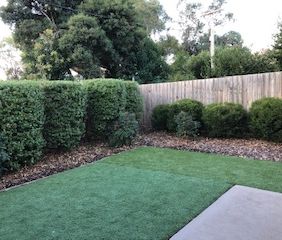 6/1-3 Coppin Place, Weetangera ACT 2614 - Apartment For Rent | Domain - Photo 4