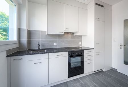 Rent a 3 rooms apartment in Zürich - Photo 2