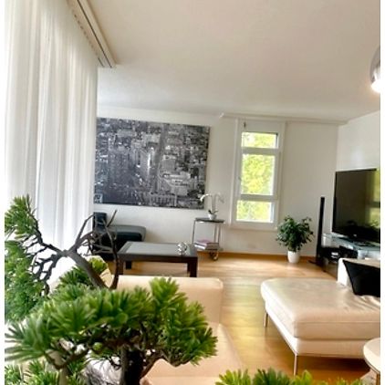 6 Zimmer-Wohnung in Bern - Marzili, möbliert - Foto 1