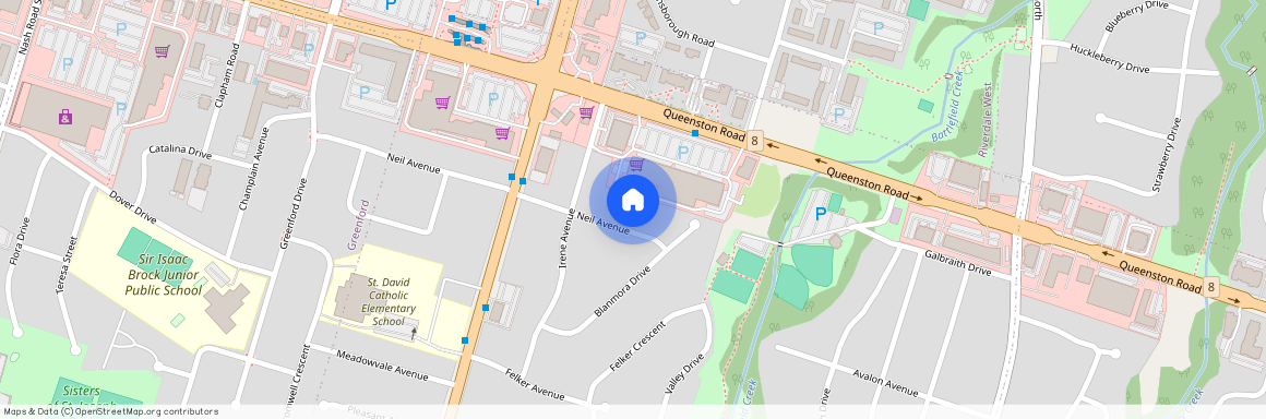 60 Neil Avenue, Hamilton