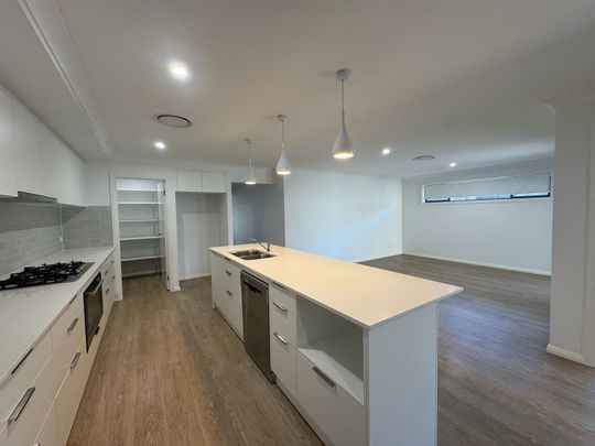 Just in time for Christmas! - Photo 1