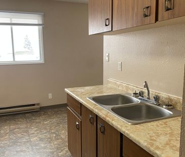 Countryside 4 – 1 Bedroom - Photo 4