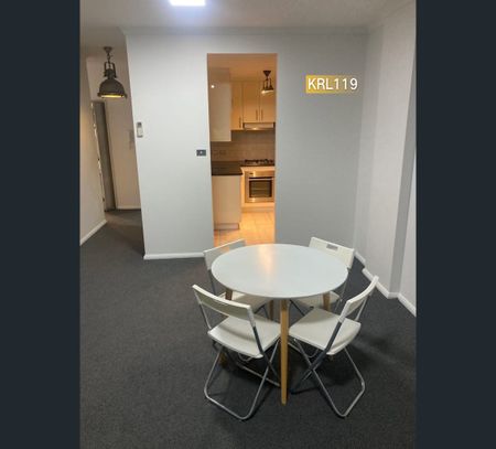 Fully Furnish-L1B/1-3 Botany Rd, Waterloo, NSW 2017 - Photo 3