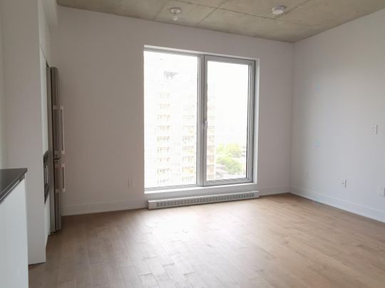 Unit 1003: Entire unit - Photo 1