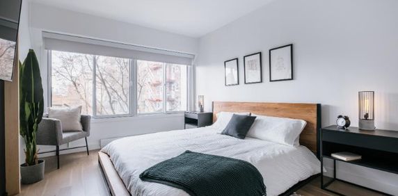 3 ½ entièrement meublé à louer Saint-Jean-Baptiste octobre 2026 - Photo 2