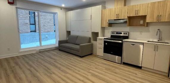 Studio Neuf , semi-meublé et internet inclus! 6180 Vanier - Photo 2