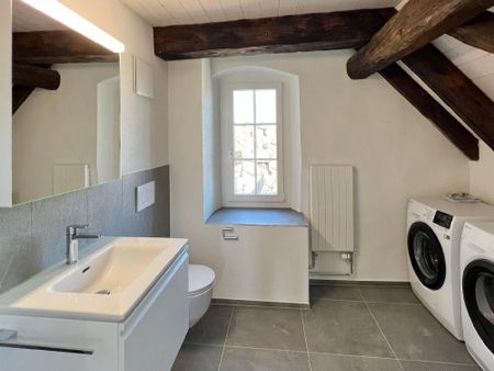 Erstvermietung Attikawohnung über den Dächern der Altstadt - Photo 4