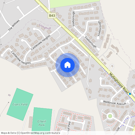 31 Millrace Drive, BT70 1WD, Dungannon