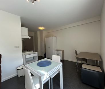 Location Appartement 1 pièce Meublé 25m² LE BOURGET DU LAC 73370 - Photo 4