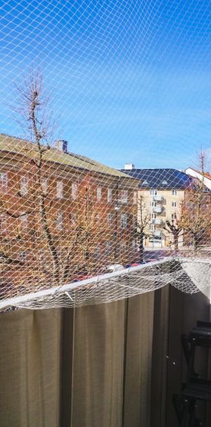 Kyrkogatan, Karlskrona - Photo 1