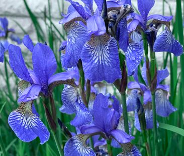 Björnbergsvägen, Saltsjö-Boo - Photo 6