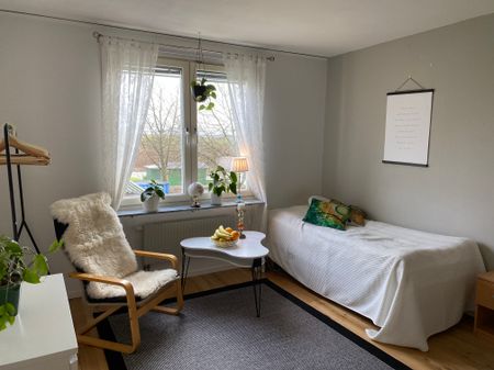 Runslingan, Lund - Foto 4