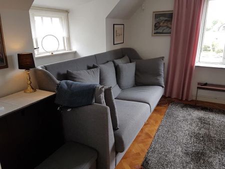 Furugatan, Helsingborg - Photo 2