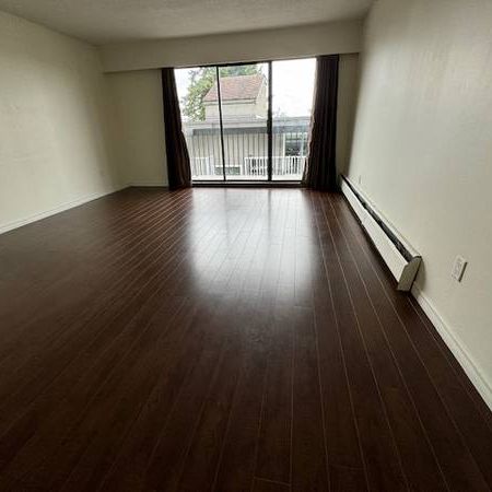 Large 1 Bedroom 1 Bath Apartment in Coquitlam - Photo 1