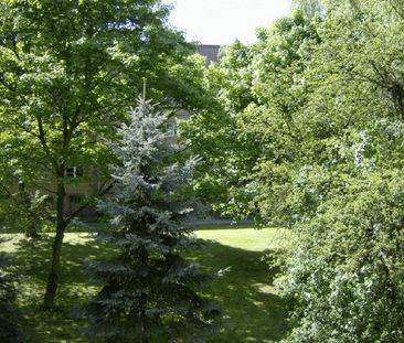 Idyllischer Wohntraum nahe dem Tierpark - Photo 5