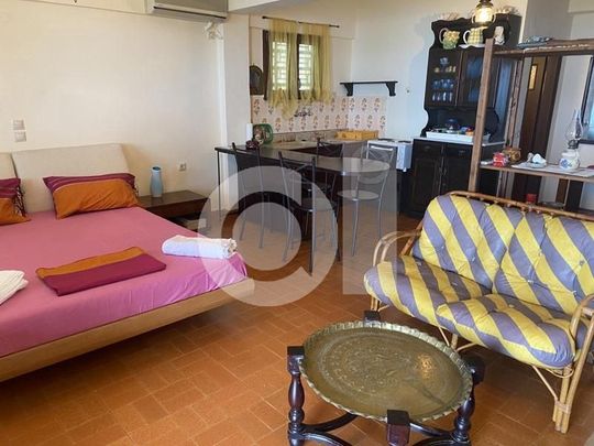 Studio/Γκαρσονιέρα για ενοικίαση Μαλεσίνα - Photo 1
