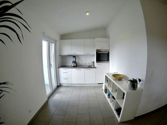 APPARTEMENT 21/2 PIÈCES À AARWANGEN (BE), MEUBLÉ, TEMPORAIRE - Foto 1