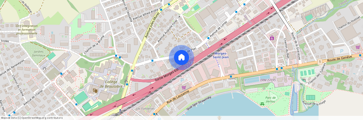 1110, Morges, Avenue De Plan, 12