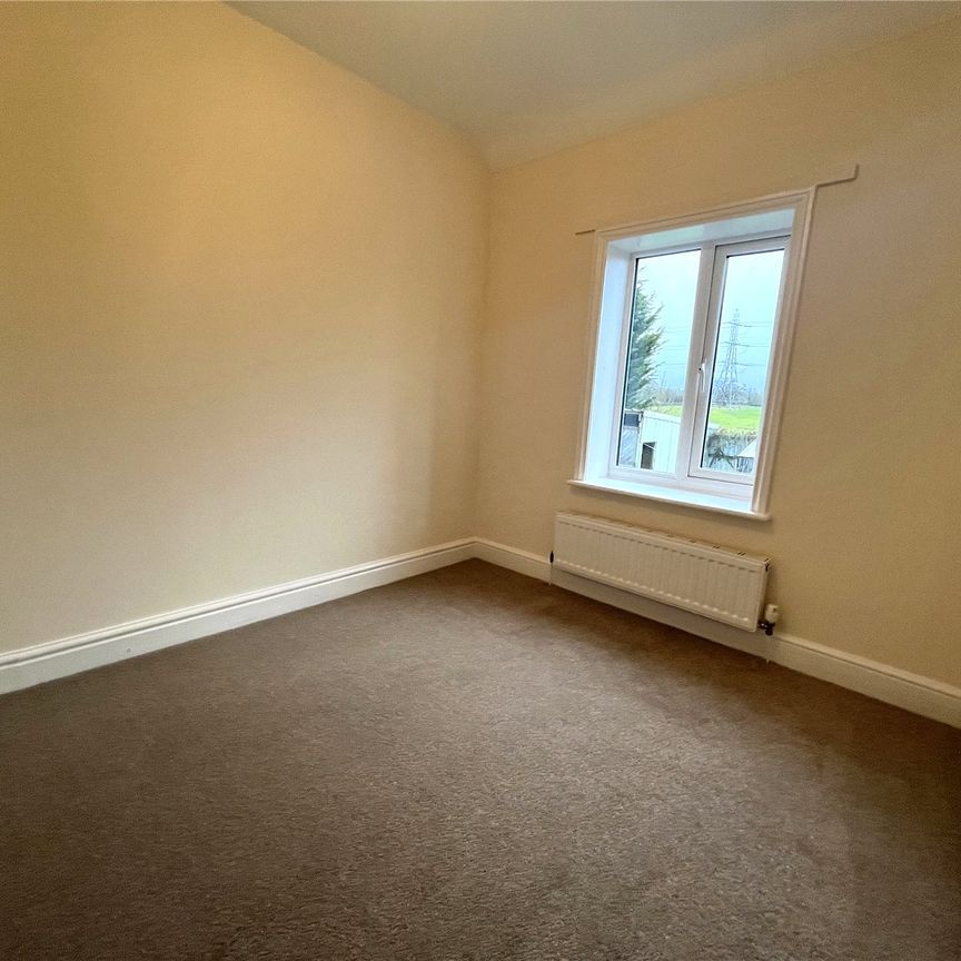 3 Broad Oak - Photo 1