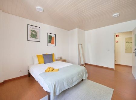 Rua Alexandre Herculano, Lisbon, Lisbon 1150-005 - Photo 4