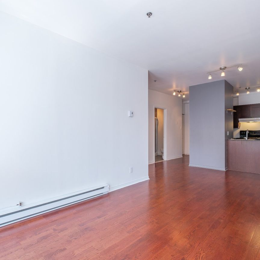 Condo for rent, Montréal (Le Plateau-Mont-Royal) - Photo 1