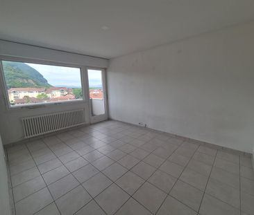 Location Appartement 1 pièce 25m² ANNEMASSE 74100 - Photo 6