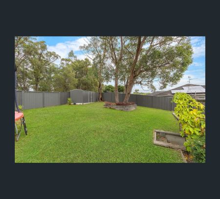 15 Cockatiel Street, Toronto, NSW 2283 - Photo 3