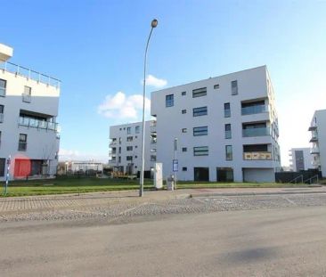 Pronájem bytu 1+kk, ulice Firkušného, Brno - lokalita Sadová, zahrádka - Fotografie 6