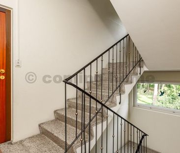 Am grünen Rand Berlins - Photo 6