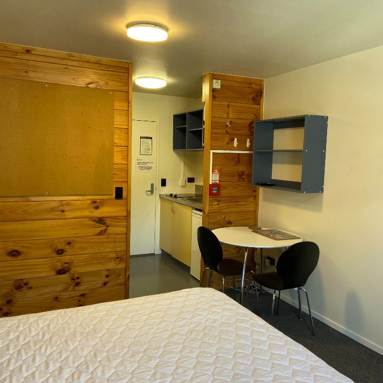 Fully Furnished Studio in Mt Cook - Photo 1