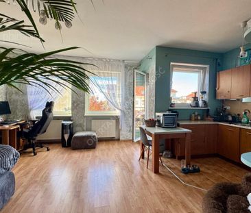 Warszawa, Białołęka, Białołęka Grodzisk, Głębocka - Zdjęcie 4