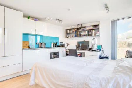 Deluxe Studio - Photo 5