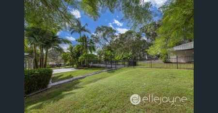 Retreat in the sort after area of Cooranbong - Photo 4