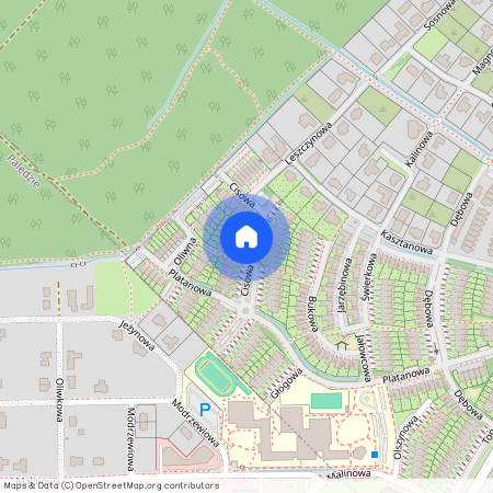 ul. Cisowa, Dąbrówka, Dopiewo, poznański, wielkopolskie