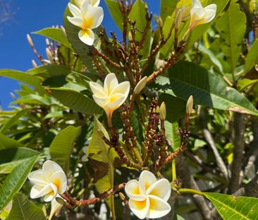 Double Bay - Photo 6