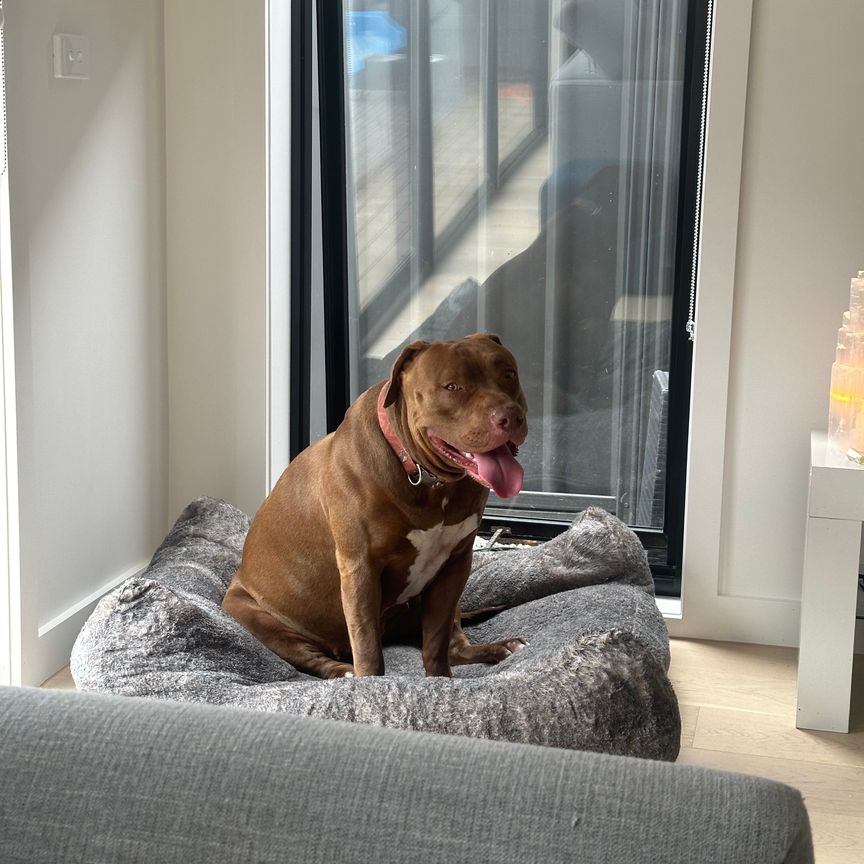 Keilor Park - Photo 1