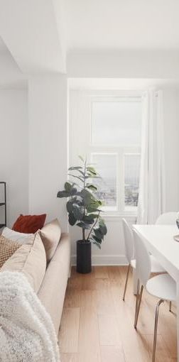 4 ½ entièrement meublé à louer Montcalm / Saint-Sacrement juillet 2026 - Photo 1