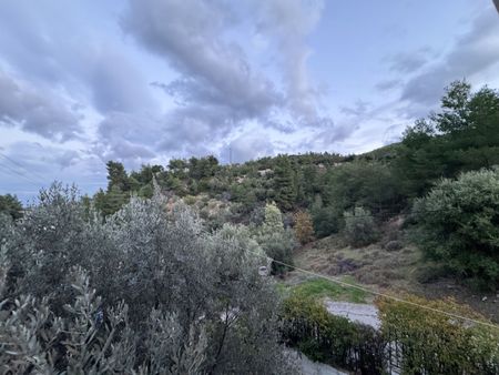 Διαμέρισμα για ενοικίαση Κέντρο (Ωρωπός) - Photo 5