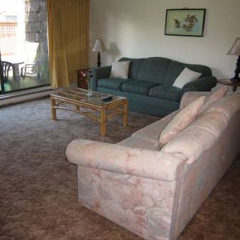 Fully Furnished condos in Duncan - Photo 4