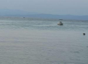 Βίλα για ενοικίαση - Παλλήνη, - Photo 4